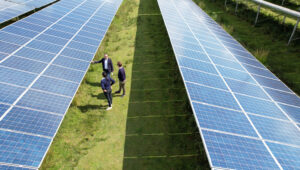 AQ Ampere Team auf einem Solarpark